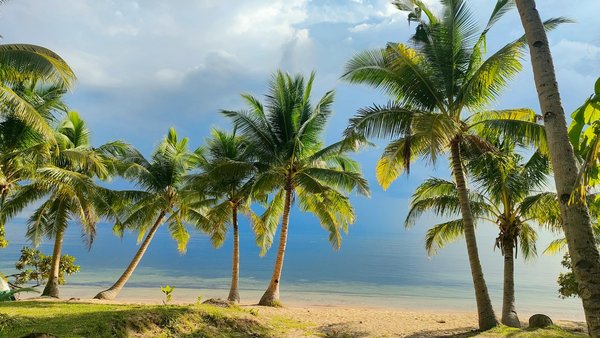 Survivre à la pluie en camping-caravane